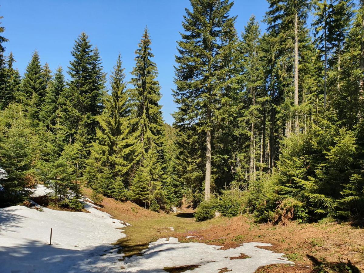 Zlatar Luxury Chalet - Trace Of Nature 2214 Нова-Варош Екстер'єр фото